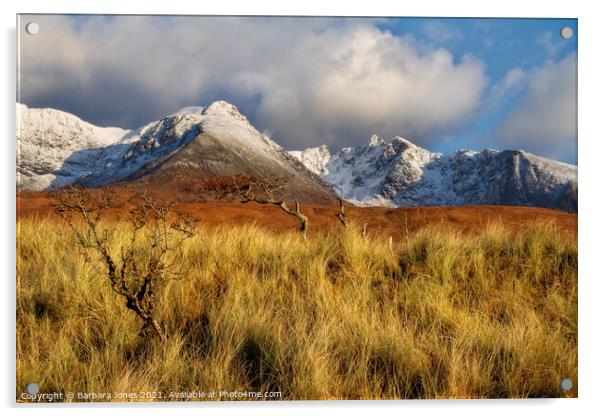 Glen Brittle in Winter Black Cuillins Isle of Skye Acrylic by Barbara Jones