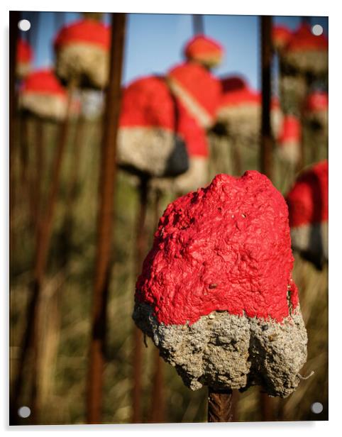 The Poppy Tribute in Dunkirk Acrylic by James Brodnicki
