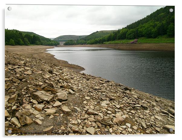 Across the reservoir to hawden dam Acrylic by ian broadbent