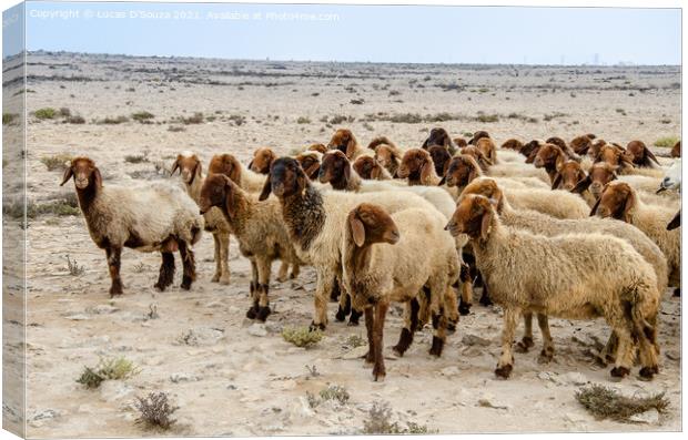 Flock of sheep in the desert Canvas Print by Lucas D'Souza