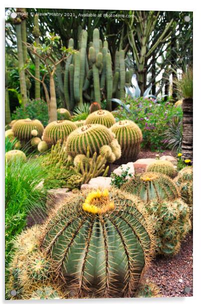 Cactus at the Huerto del Cura, Elche, Acrylic by Navin Mistry