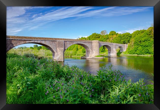 Majesty of the River Tweed Framed Print by Michael Birch
