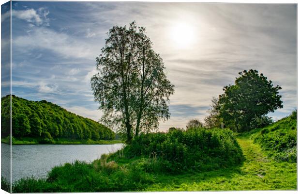 Majestic Sunrise on River Tweed Canvas Print by Michael Birch