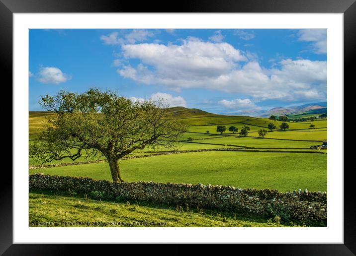 Majestic View from Beacon Hill, Cumbria Framed Mounted Print by Michael Birch