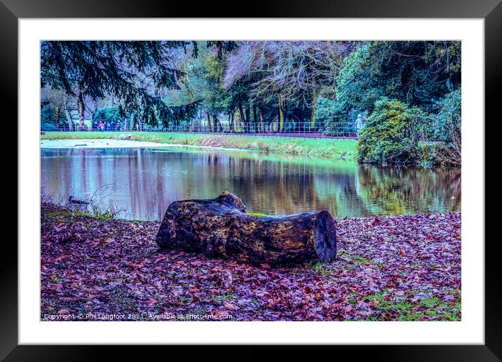 Beautiful Liverpool Park Framed Mounted Print by Phil Longfoot