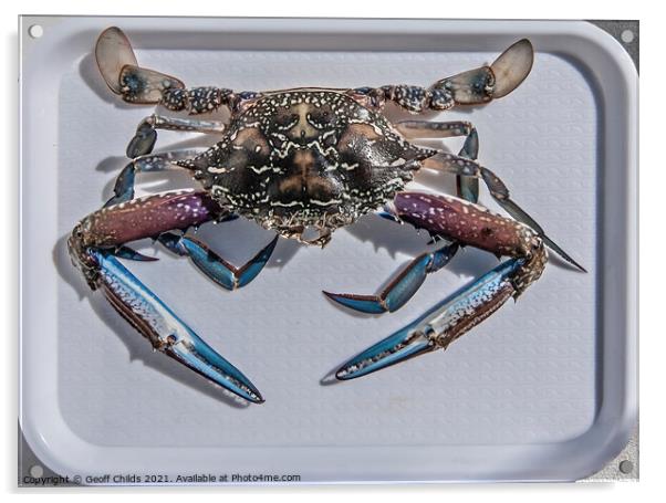 Uncooked Blue Swimmer Crab on a tray. Acrylic by Geoff Childs