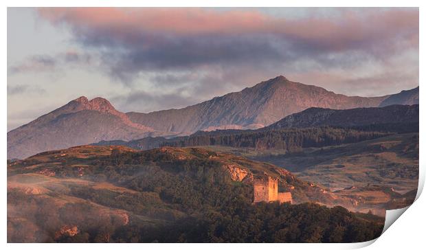 Snowdon and Dolwyddelan castle Print by Rory Trappe
