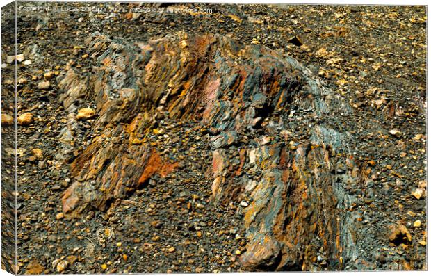 Layers of iron ore deposits  Canvas Print by Lucas D'Souza