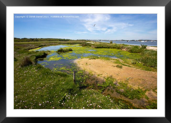 Mudeford Spit #6 Framed Mounted Print by Derek Daniel