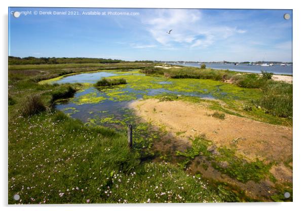 Mudeford Spit #6 Acrylic by Derek Daniel