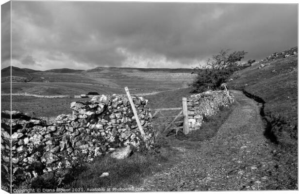Yorkshire Dales in black and white Canvas Print by Diana Mower