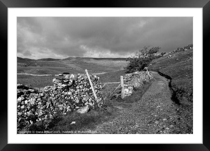 Yorkshire Dales in black and white Framed Mounted Print by Diana Mower