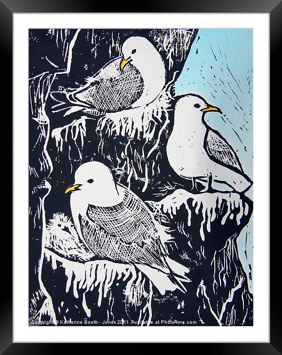 Black-Footed Kittiwakes Framed Mounted Print by Katherine Booth - Jones
