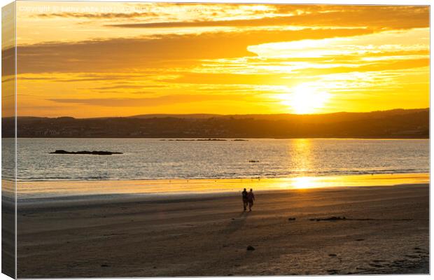 Romantic walk,golden sunset,Cornwall Canvas Print by kathy white