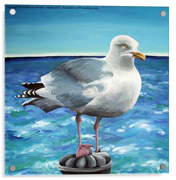 Herring Gull Acrylic by Katherine Booth - Jones