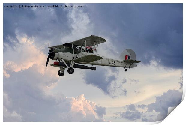 Royal Navy Fairey Swordfish airplane Print by kathy white