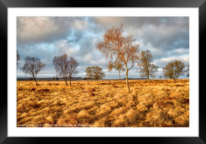 Leash Fen at dawn Framed Mounted Print by Chris Drabble