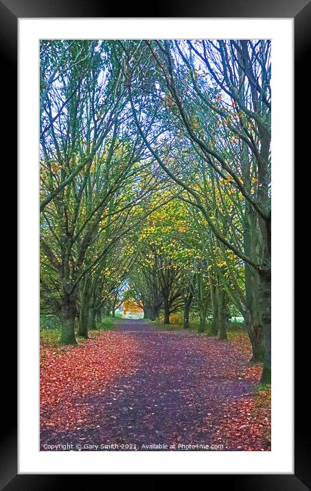 Tree Archway at Queen Mother's Avenue  Framed Mounted Print by GJS Photography Artist