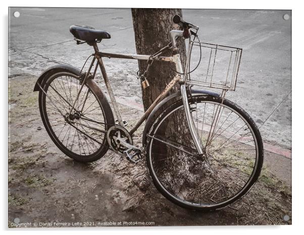 Old Bicycle Chained at Tree Acrylic by Daniel Ferreira-Leite
