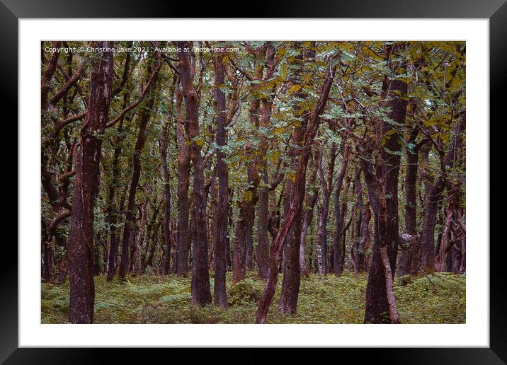 A Walk In Nature Framed Mounted Print by Christine Lake