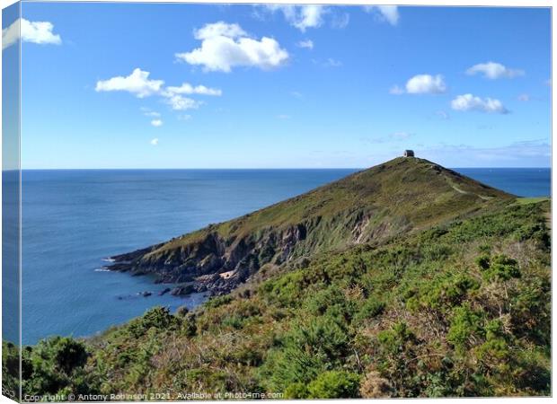 Rame Head Canvas Print by Antony Robinson