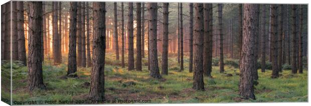 Matley Ridge Sunrise Canvas Print by Peter Barber