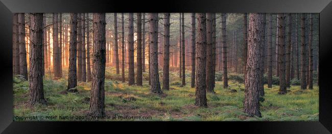 Matley Ridge Sunrise Framed Print by Peter Barber