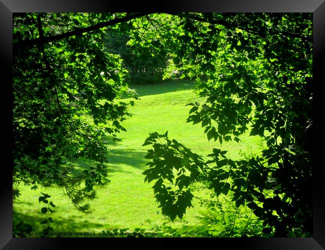 Strathcona Park Framed Print by Stephanie Moore