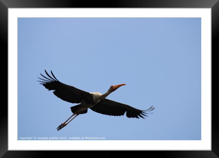 I BELIEVE I CAN FLY I BELIEVE I CAN TOUCH THE SKY Framed Mounted Print by sanjeeb poddar