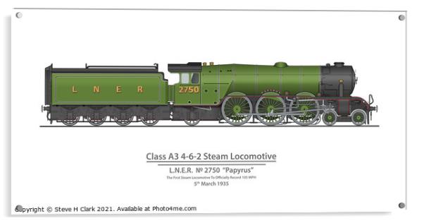 LNER Papyrus March 1935 Speed Record 105 MPH Acrylic by Steve H Clark