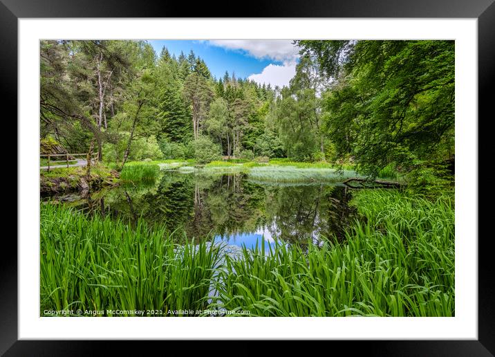 Water rushes on Loch Dunmore in Faskally Forest Framed Mounted Print by Angus McComiskey