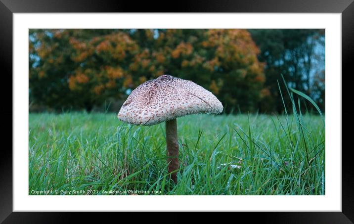 Medusa Mushroom Standing Tall Framed Mounted Print by GJS Photography Artist