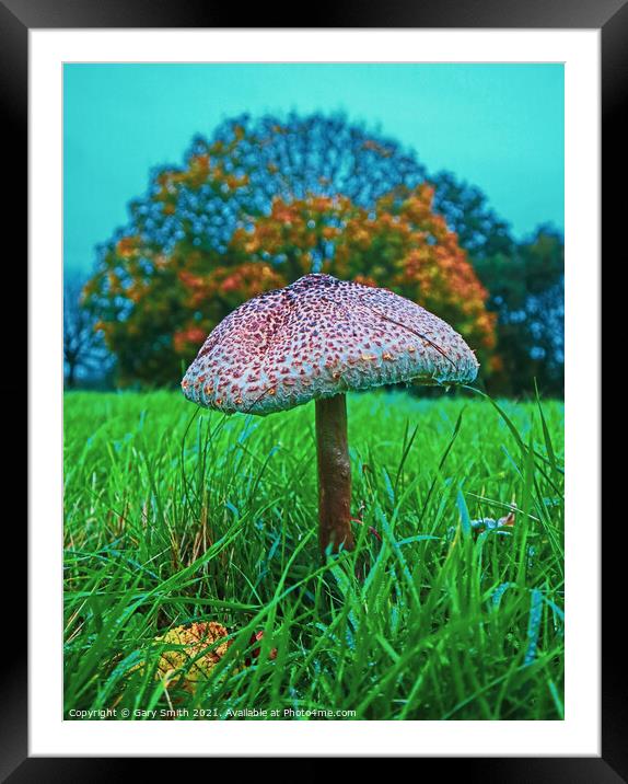 Medusa Mushroom Standing Tall Framed Mounted Print by GJS Photography Artist