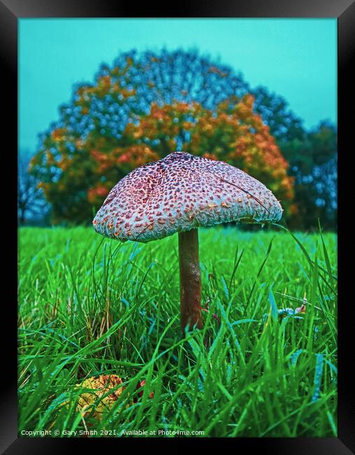 Medusa Mushroom Standing Tall Framed Print by GJS Photography Artist