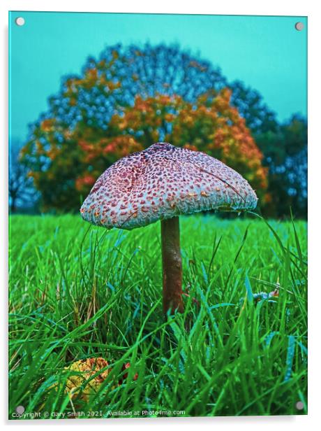 Medusa Mushroom Standing Tall Acrylic by GJS Photography Artist
