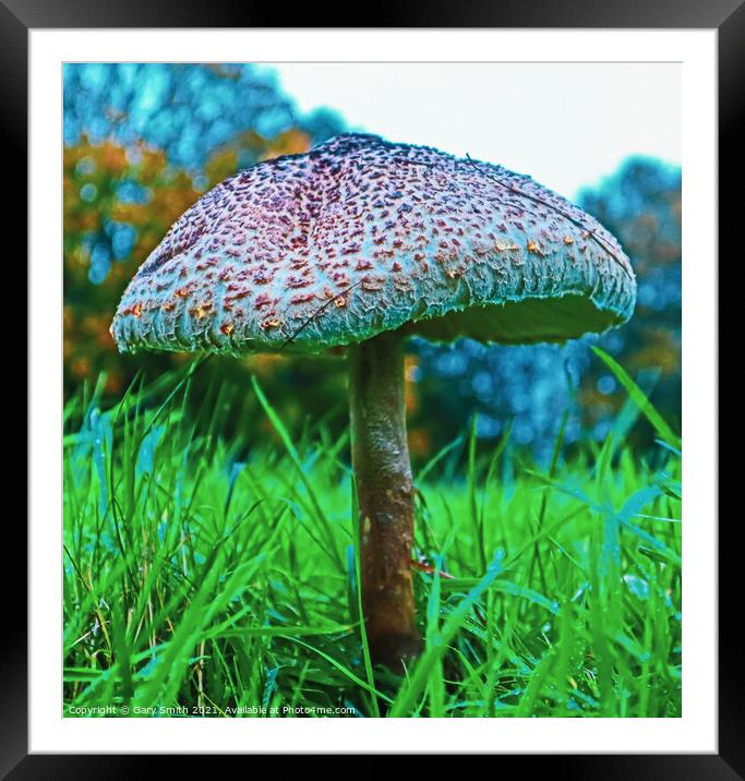 Medusa Mushroom Standing Tall Detailed Closeup Framed Mounted Print by GJS Photography Artist
