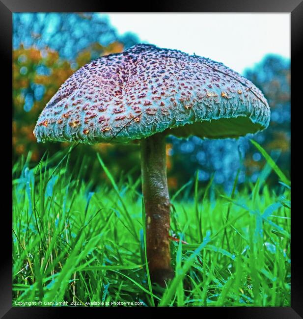 Medusa Mushroom Standing Tall Detailed Closeup Framed Print by GJS Photography Artist