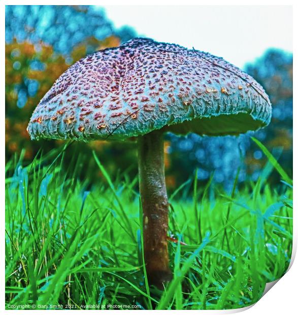 Medusa Mushroom Standing Tall Detailed Closeup Print by GJS Photography Artist