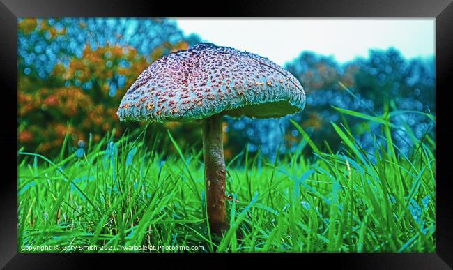 Medusa Mushroom Standing Tall  Framed Print by GJS Photography Artist