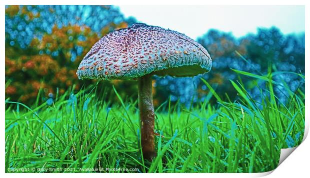 Medusa Mushroom Standing Tall  Print by GJS Photography Artist