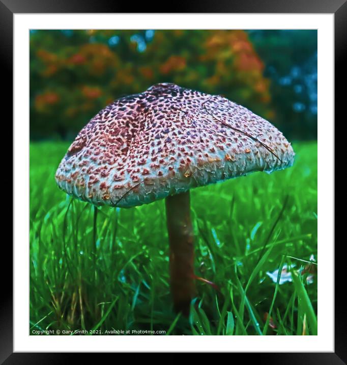 Medusa Mushroom Standing Tall  Framed Mounted Print by GJS Photography Artist