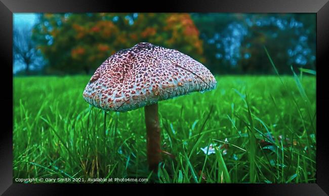 Medusa Mushroom Standing Tall Framed Print by GJS Photography Artist