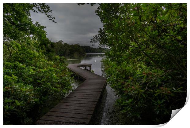 The Crooked Jetty Print by mark james