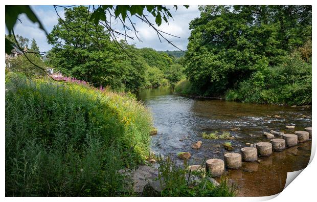 The Stepping Stones Print by mark james