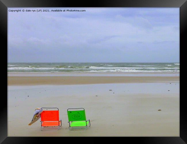 2 daytona beach Framed Print by dale rys (LP)