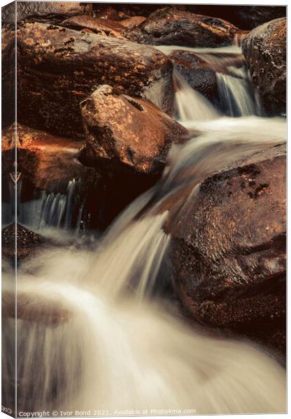 Falling Water Canvas Print by Ivor Bond