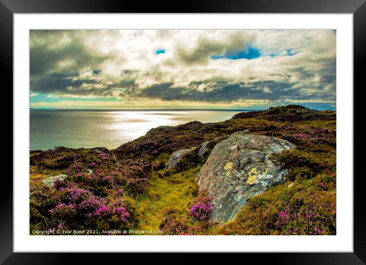 Heather Hills to the Sea Framed Mounted Print by Ivor Bond