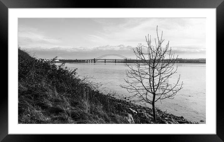 Lone tree on the side of the Mersey Estuary Framed Mounted Print by Jason Wells