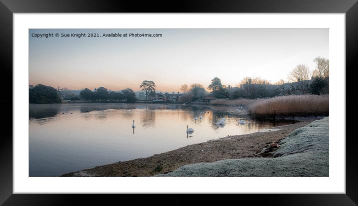 Beaulieu Millpond, New Forest  Framed Mounted Print by Sue Knight