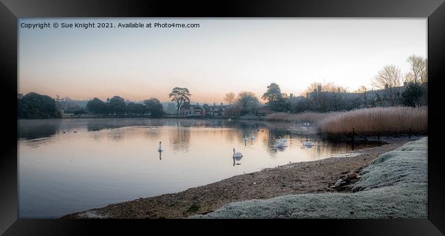 Beaulieu Millpond, New Forest  Framed Print by Sue Knight